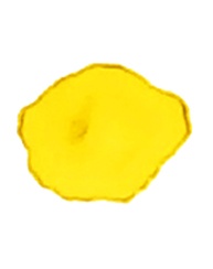 Алкогольные чернила от ScrapEgo - Карибское золото, 20 мл