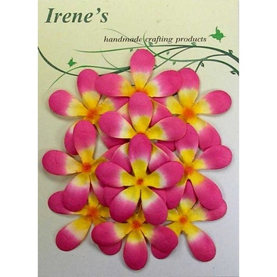 Жасмін, розмір упаковки: 12x16,7 см, колір: жовтий/білий/рожевий, 10 шт.