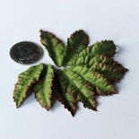 Листочки лілії, 45x20 мм, 10 шт.