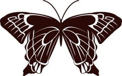 Акриловый штамп Stamp Butterfly 10 Бабочка, размер 4 * 2,5  см
