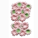 Набор цветов из шелковичной бумаги, 2 вида 20 шт. цвет персиковый с зеленым