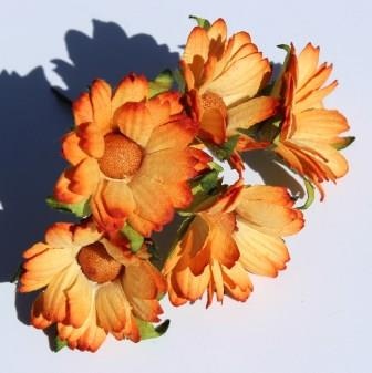 Помаранчеві ромашки, 5шт.