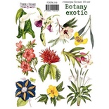 Набір наліпок (стікерів) 10 шт. Botany exotic 210, ТМ Фабрика Декору