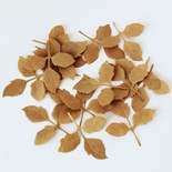 Набор высечек из крафт бумаги "Листики розы", 12 шт.