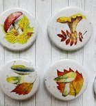 Набір скрап-фішок 4шт. Colors of Autumn 415, ТМ Фабрика Декору