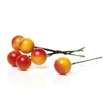 Ягідки круглі на ніжці, жовто-червоні, 6.6 смx12мм, 10 шт.