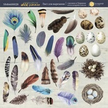 Аркуш одностороннього паперу 20x20см Аркуш для вирізання Herbarium Wild summer від Scrapmir