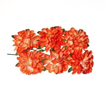 Айстри з паперу, коралові, 8 шт.