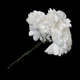 Айстри, колір білий, 9 см, букетик, 6шт.