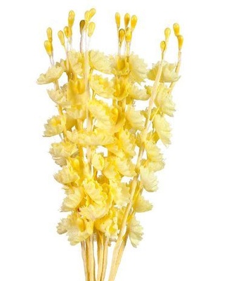 Набір дзвіночків, жовті, 10 мм, 10 шт. HY0010015593