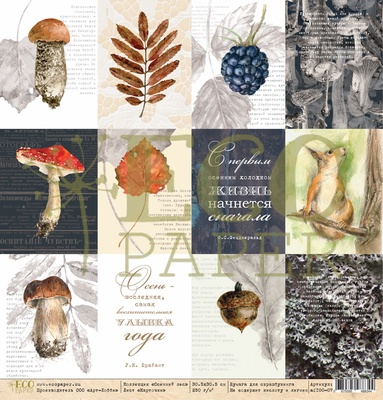 Лист односторонней бумаги для скрапбукинга от EcoPaper - "Карточки" из коллекции "Осенний лес", 30.5х30.5