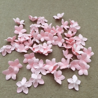 Пласкі квіточки — 5 загострених пелюсток, діаметр 13 - 15 мм, колір на вібир, 50 шт.