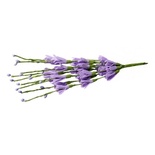 Веточки с цветочками, цвет сиреневый, 20 см, 10шт.
