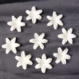 Цветы, цвет белый, диаметр - 25мм, 10 шт.