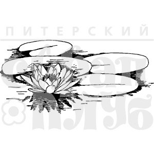 Акриловий штамп "Кувшинки"