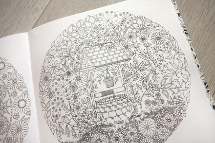 Книга-раскраска (антистресс, раскраска для взрослых) "Чарівний сад" ("Таинственный сад"). Джоанна Басфорд. Арт.000 87106