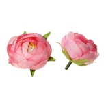 Півонія рожева, 45х45см, 1шт.