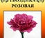 Набір паперу для виготовлення квітів - гвоздика рожева