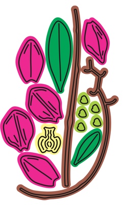 Ніж для вирубки Orchid від Cheery Lynn Designs, 14 шт.