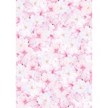 Оверлей Магнолия фон, ТМ Фабрика Декору