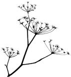 Резиновый штамп от Memory Box - Dill Print, 1 шт.