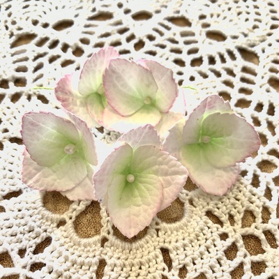 Гортензії з фоамірану з пелюстками з зубчастим краєм, діаметром 35 мм, білий з рожевим, 5шт.