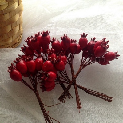 Шиповник, цвет красный, пучок из 12 штук