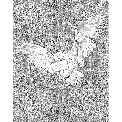 Книга-раскраска (антистресс, раскраска для взрослых) "Гарри Поттер"  