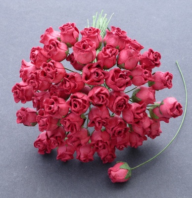 Буточники троянди, темно-рожевий, 8 - 10m, 5шт.