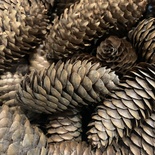 Шишка ялинкова, колір коричневий, 1 шт.