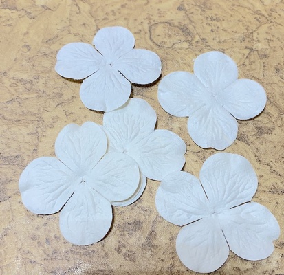 Гортензия белая, диаметр 40 мм, 20 шт