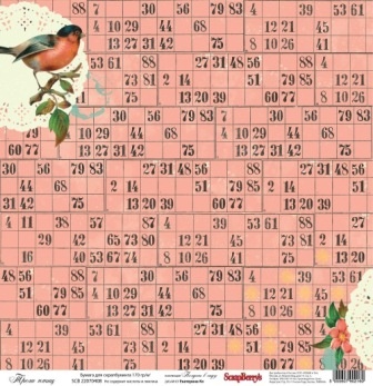 Папір для скрапбукінгу від ScrapBerryʼs 30x30см односторонній трелі птахів