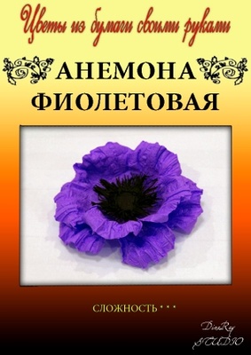 Набір паперу для виготовлення квітів - анемона фіолетова