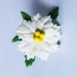 Пуансеттия белая,  маленькая, диаметр 30 мм, 1 шт.