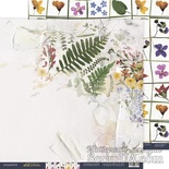 Аркуш двостороннього паперу 30x30 від Scrapmir з колекції Herbarium Wild summer