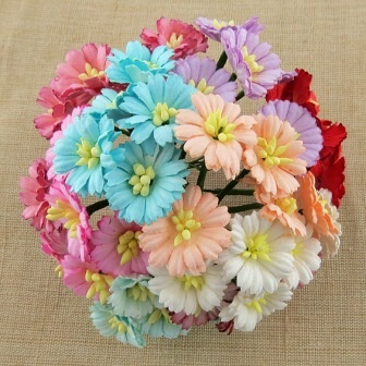 Магаритки, микс цветов, 25мм, 50 шт.