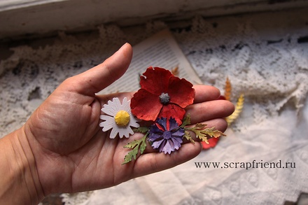 Набор ножей для вырубки от  Scrapfriend -  Ромашковое поле, 6 штук