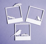 Чипборд від Wycinanka - Рамки,3 шт.
