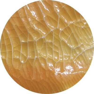 Кракелюрный гель ТМ "ScrapEgo "- Кремовый, 60мл