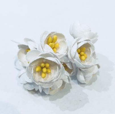Цветы яблони, 5 штук, диаметр 18-20мм,  цвет - белый