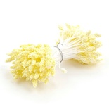 Тычинки двусторонние, желтые, 55*3мм, 144 шт.