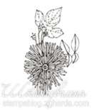 Акриловый штамп FL016 Одуванчик, размер 2,7 * 3,8 см