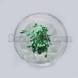 Перламутрові тичинки, зелений світлий колір, 25 гілочок (50 тичинок)