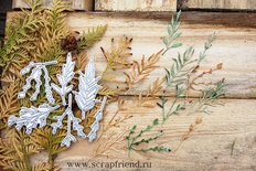 Набір ножів для вирубки від Scrapfriend - Вів'єн, 6 штук