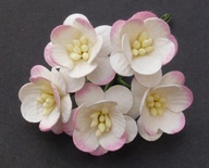 Квіти вишні, колір білий з рожевим, діаметр - 25мм, 5шт.