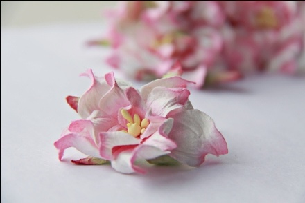 Гардения, диаметр 5 см, цвет розово-белый, 1 шт.