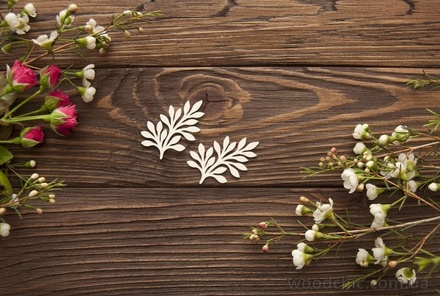 Чипборд від WOODchic - "Набір гілки 8", 5x3,3 см