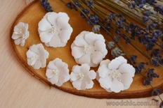 Набор от WOODchic - Бумажные цветы 054 от WOODchic