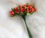Гілочки декоративні з ягодами, колір помаранчевий, 1 пучок з 10 штук