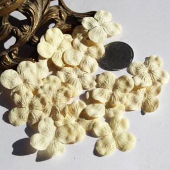 Гортензія, колір: кремово - жовтий, 2,5см, 20 шт.